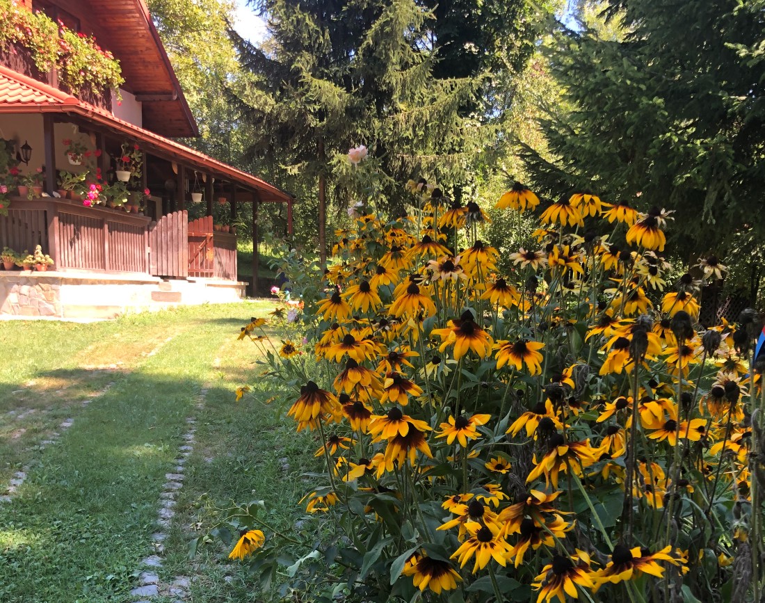 2 Amenajare casa de vacanta jud Prahova(1)