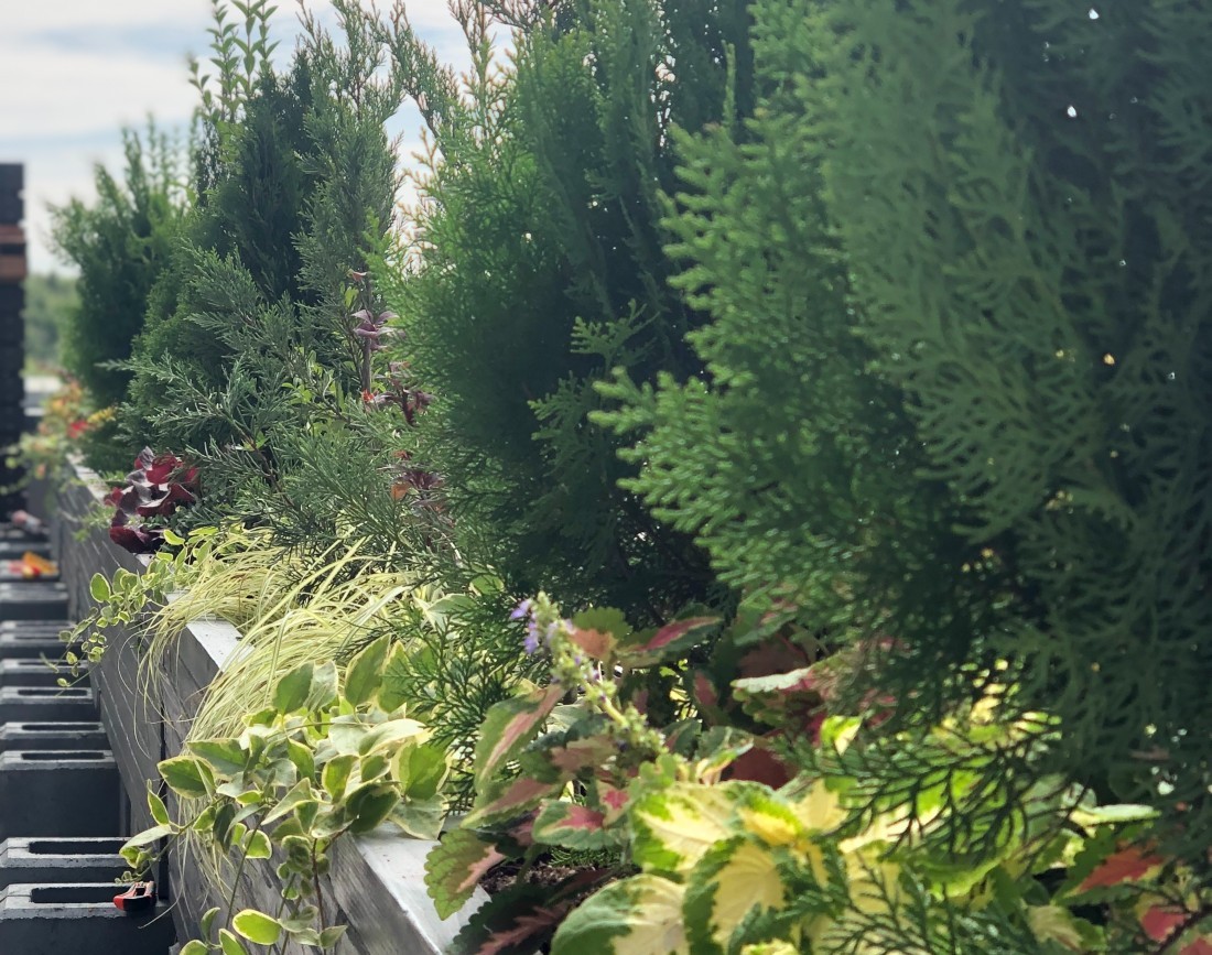 1 Amenajare jardiniere terasa