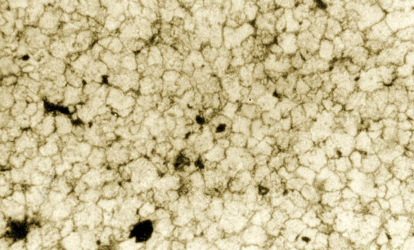 1 mud vein in limestone magnified 222222