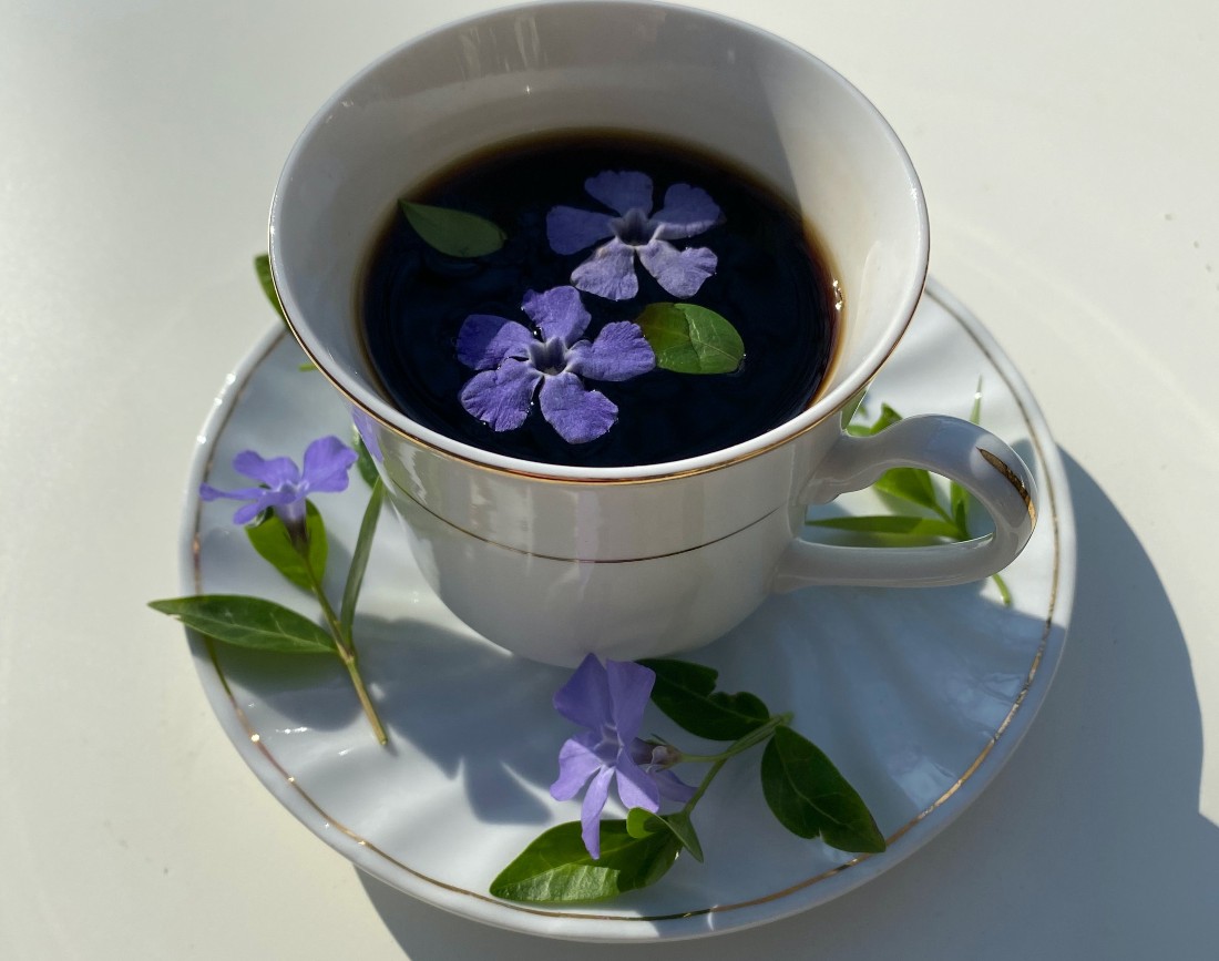 5 decoratiuni periwinkle