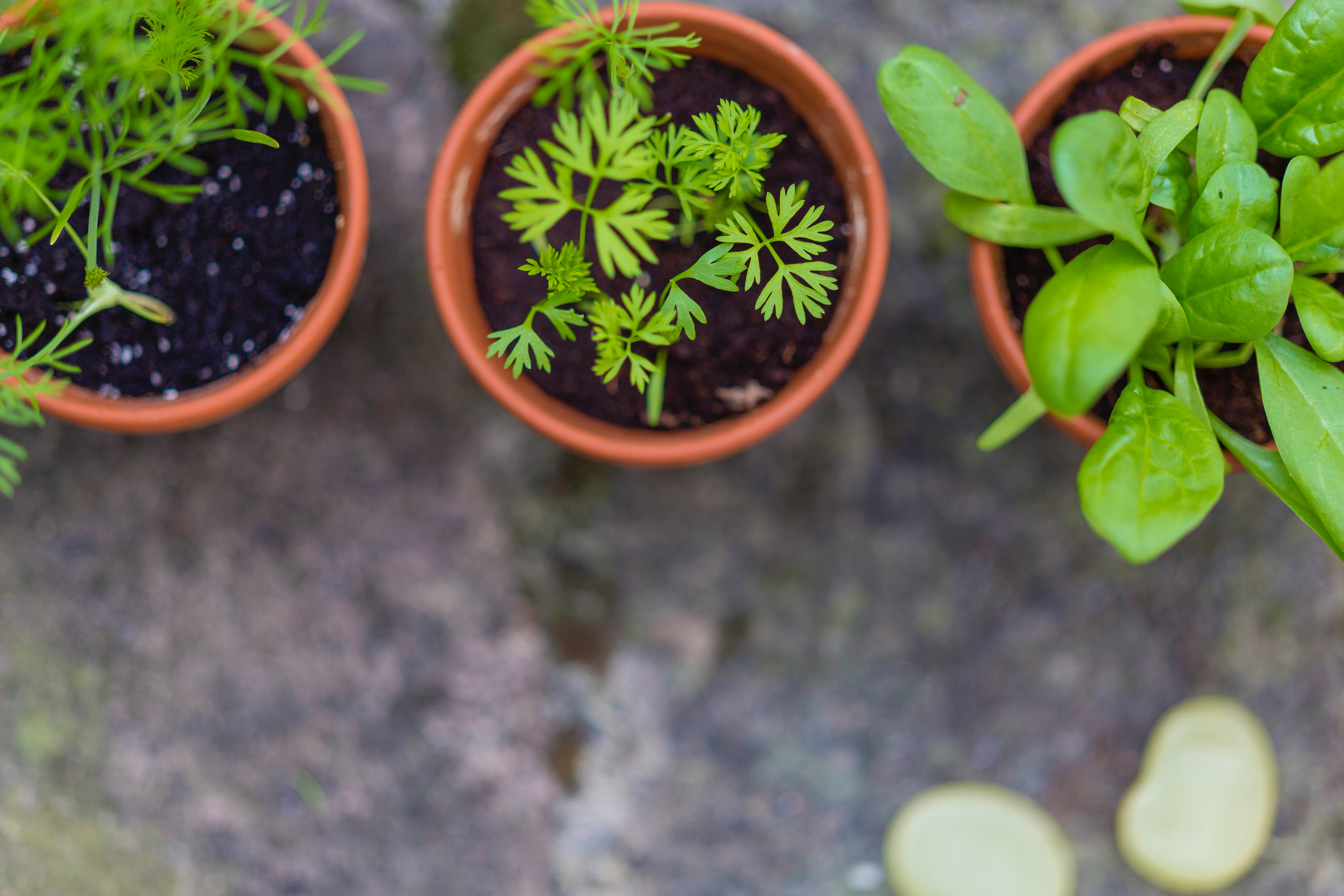 4 markus spiske 7LsyosoO0GQ unsplash
