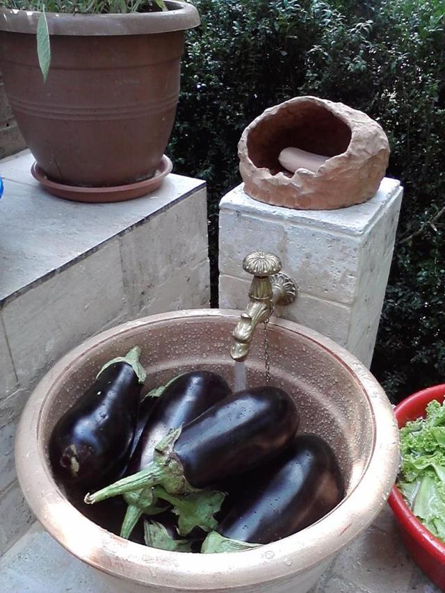 chiuveta v2