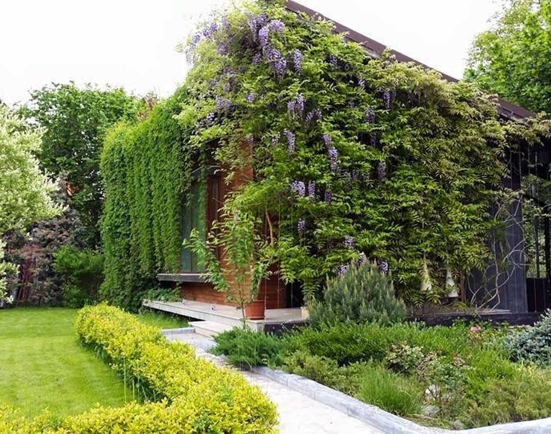amenajare gradina