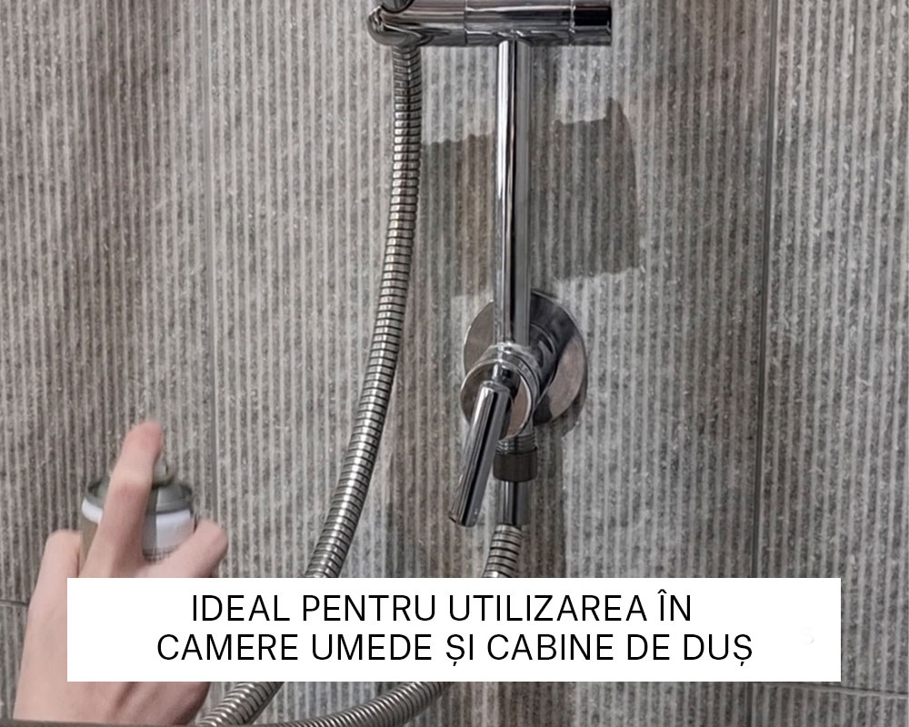 curatare mozaicuri LTP (5)