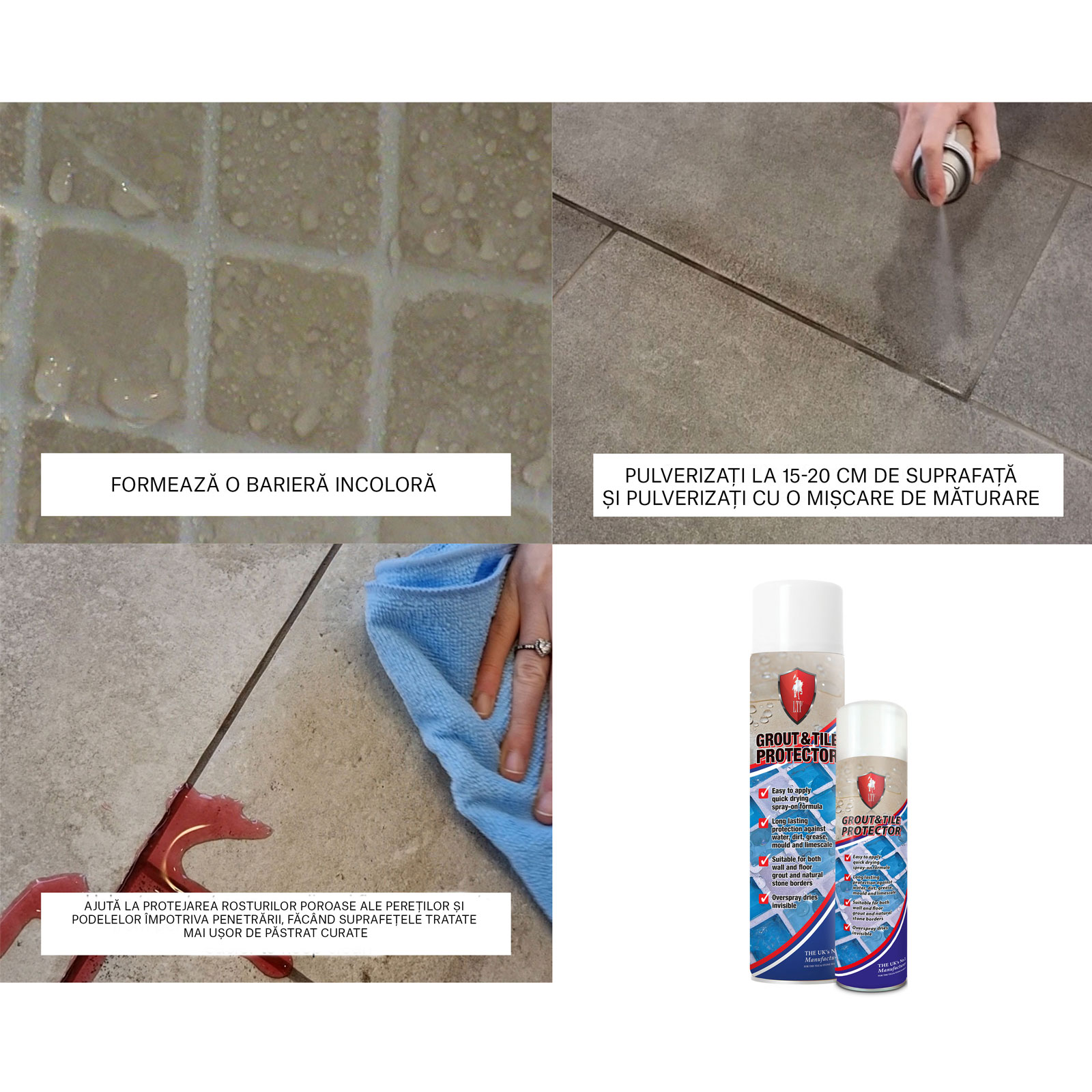 curatare mozaicuri LTP (1) v3